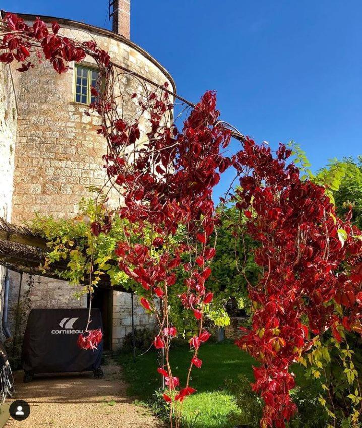 Cote-Serein La Privilege De La Tour Madame Noyers Exterior photo
